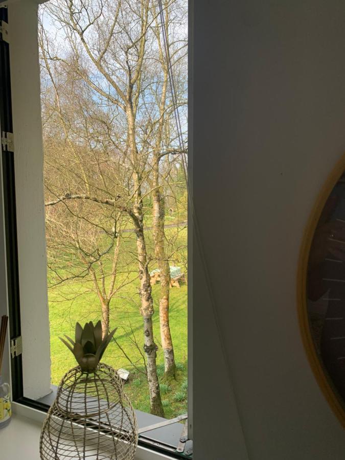 Treetops Coleraine Eksteriør bilde